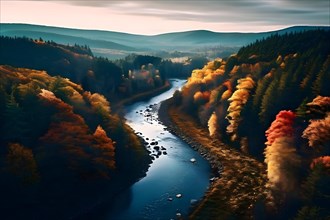 Autumnal forest with a winding river carving its way through in aerial view, AI generated
