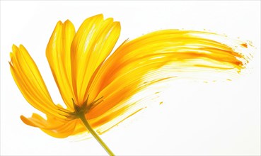 Colored brush stroke shaping a chamomile petal, soft yellow chamomile flower on white background AI