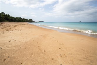 Lonely, wide sandy beach with turquoise-coloured sea. Tropical plants in a bay in the Caribbean