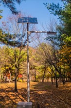Street light on metal pole powered by solar panel next to walking trail in public park on sunny