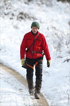 Wild boar (Sus scrofa) Hunting assistant, so-called driver, in safety clothing, Allgaeu, Bavaria,