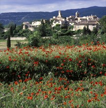 Lourmarin, Parc Naturel Regional du Luberon, Vaucluse, Provence, France, Europe