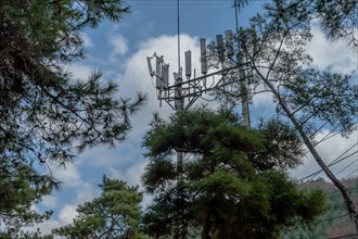 Cellphone tower behind pine trees with beautiful cloudy blue sky in background in South Korea