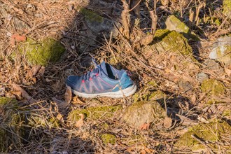 A single shoe abandoned on a mossy forest floor among rocks, blending with nature, in South Korea
