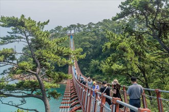 Visitors walk across a scenic suspension bridge along a lush coastal landscape, in Ulsan, South