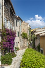 Typical alley in the old town with bougainvillea on the facades, Grimaud-Village, Var,