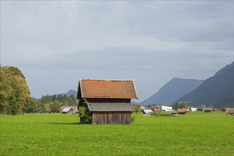 Hay barn with meadow and foothills of the Alps, Garmisch-Partenkirchen, Werdenfelser Land, Upper