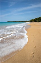 Lonely, wide sandy beach with turquoise-coloured sea. Tropical plants in a bay in the Caribbean