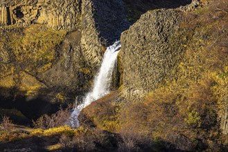 Small foaming waterfall cascading from a rock face, in the evening light, Sudurland, Iceland,