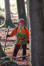 Wild boar (Sus scrofa) Hunting assistants, so-called beaters, with safety clothing in action,