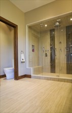 Main bathroom with double steam glass shower stall and toilet room in extension inside luxurious
