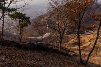 Section of mountain fortress wall behind leafless trees on top on winter morning with clear blue