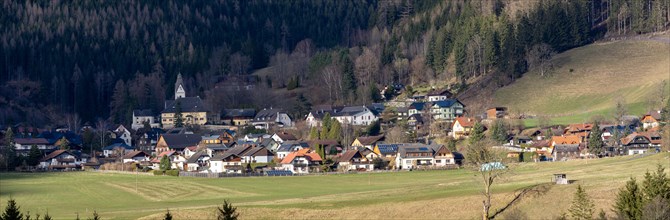 Oberort, municipality of Tragoess-St. Katharein, panoramic view, Styria, Austria, Europe