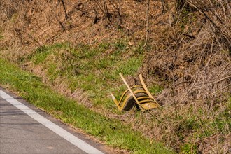 An abandoned wooden chair by the roadside surrounded by overgrown vegetation, in South Korea
