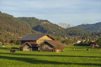 Hay barn with meadow and Karwendel mountains in the evening light, Garmisch-Partenkirchen,