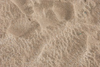 Close-up of sandy surface showing detailed granular texture and natural patterns