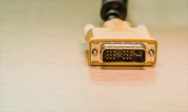 Gold-colored DVI connector of a computer cable on a light surface, in South Korea