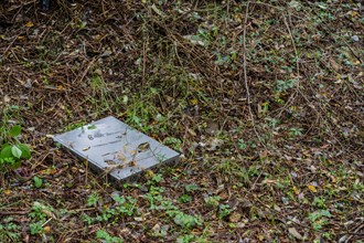 A discarded metal sheet lies in a forest, symbolizing waste and environmental concern, in South