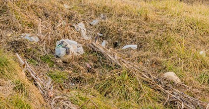 A plastic bag caught in grassy terrain, a stark emblem of environmental concern, in South Korea