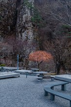 Rest area with stone benches in a rocky setting with an autumn tree, in South Korea