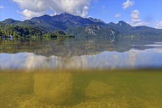 Underwater shot of lake in front of mountains, summer, sun, Lake Kochel, view of Herzogstand and