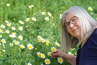 Smiling white-haired mature woman picking wild daisies in the field