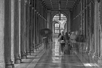 Arcade of the Procuratie in the morning, Venice, Veneto, Italy, Europe