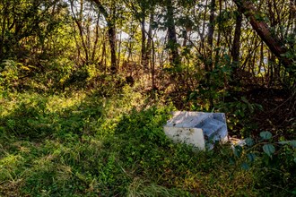A white discarded appliance left in green underbrush, in South Korea