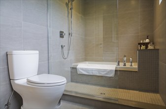 White porcelain toilet and bathtub in glass shower stall in guest bathroom with grey ceramic tile