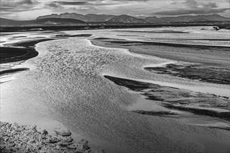 Overgrown river landscape, black and white photograph, Fjallabak Nature Reserve, Sudurland,