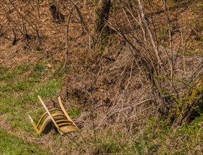 A neglected wooden chair amongst dry plants, discarded by the roadside, in South Korea