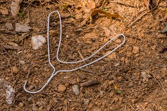A discarded white wire clothes hanger amid dry leaves on the ground, in South Korea