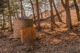 Water storage tank in wooded mountainside park under tall evergreen trees in Boeun, South Korea,