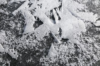 Winter, ice pattern on frozen river, Province of Quebec, Canada, North America