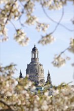 View of the Church of Our Lady Dresden in early spring, Dresden, Saxony, Germany, Europe