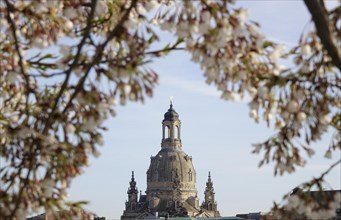 View of the Church of Our Lady Dresden in early spring, Dresden, Saxony, Germany, Europe