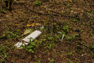 Discarded white plastic container on a forest floor indicating environmental pollution, in South