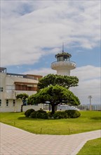 Lighthouse behind a manicured tree on a clear day, in Ulsan, South Korea, Asia