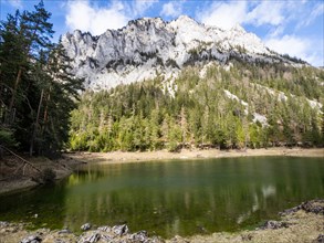 Gruener See, Tragoess, Styria, Austria, Europe