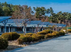 Large array of solar panels providing shade in a parking area with trees and blue sky, in South