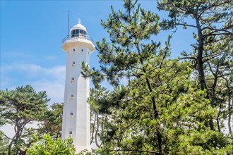 A distant view of a tall white lighthouse peeking through trees under a blue sky, in Ulsan, South