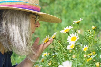 Mature woman with white hair and hat seen in profile smelling a beautiful daisy in her hands with a
