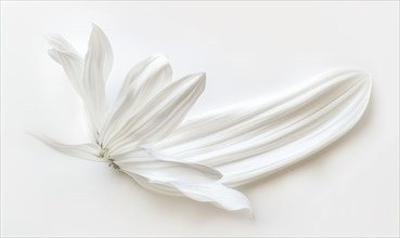 White paint brush stroke and white daisy flower on while background AI generated