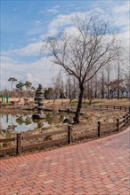 Tranquil view of a leafless tree by a pond in a park, with a brick footpath, in South Korea