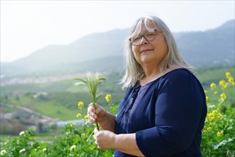 Older white-haired woman in the field with ears of barley in her hands with mountain scenery in the