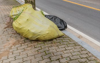 A green sack and black plastic bag with waste by a roadside curb, in South Korea