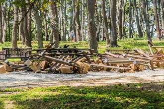 A pile of dismantled wooden logs and debris in a forest setting, in Ulsan, South Korea, Asia
