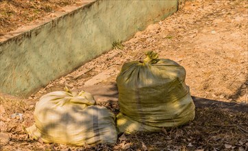 Two tied green garbage bags on a concrete path beside dirt, in South Korea