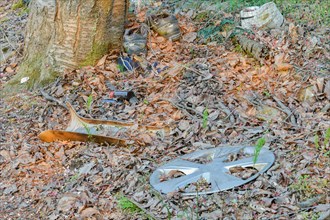 A scene of litter with a hubcap and a shoe among forest debris, highlighting pollution, in South