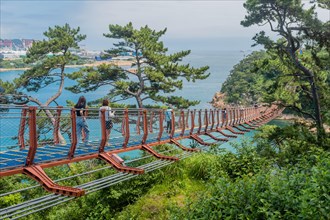 Picturesque suspension bridge stretching over the coastline, surrounded by lush forest, in Ulsan,